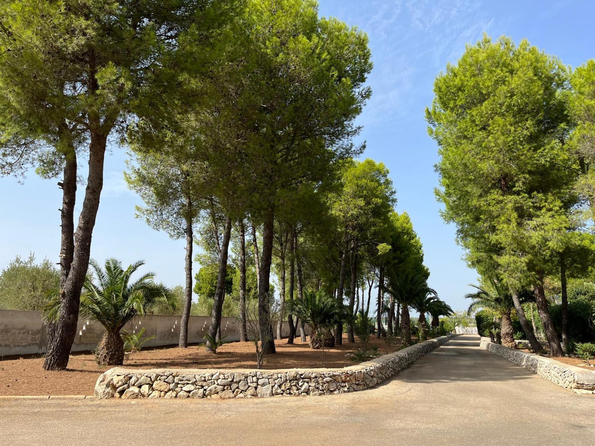 Masseria La Camardia Sava Exterior photo
